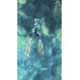 Гидрокостюм C4 CARBON CAMOSKIN MED, 5 мм