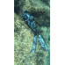 Гидрокостюм C4 CARBON CAMOSKIN OCEAN, 5 мм