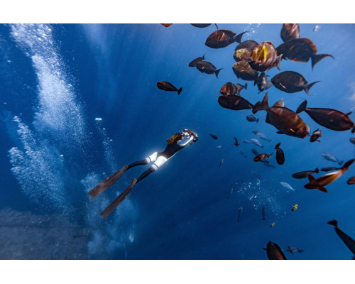 Скутер электрический подводный SUBLUE NAVBOW PLUS ORANGE 158 Wh